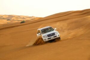 Best Arabian Desert