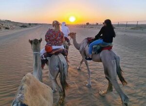 best desert safari dubai