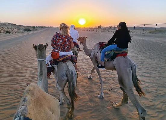 best desert safari dubai