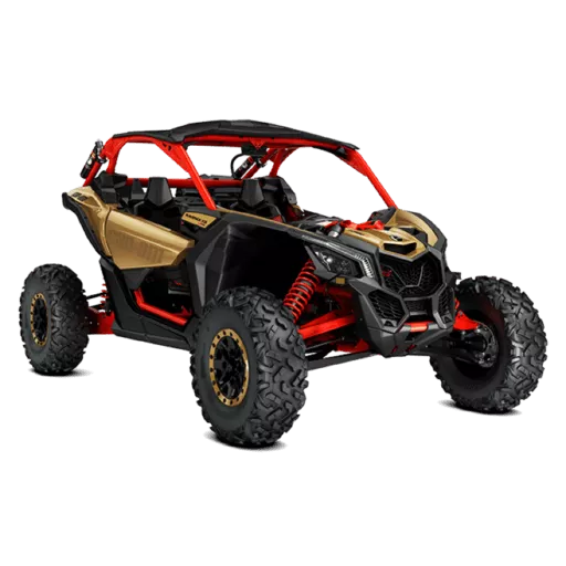 dune buggy ride