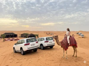 premium desert safari