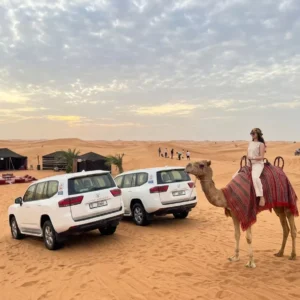 premium desert safari
