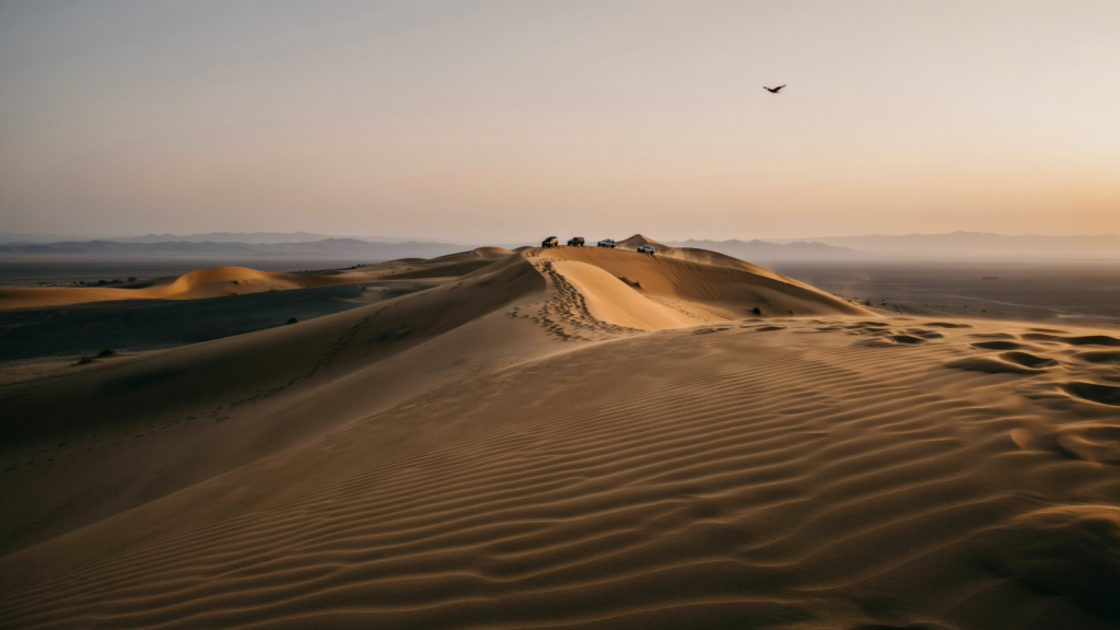First time desert safari dubai
