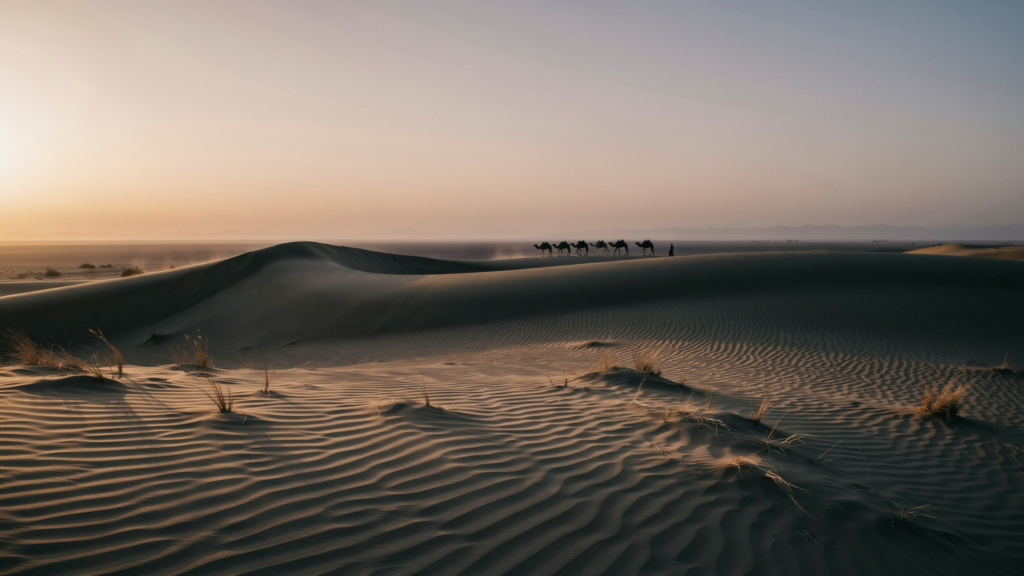 Desert safari dubai vs abu dhabi