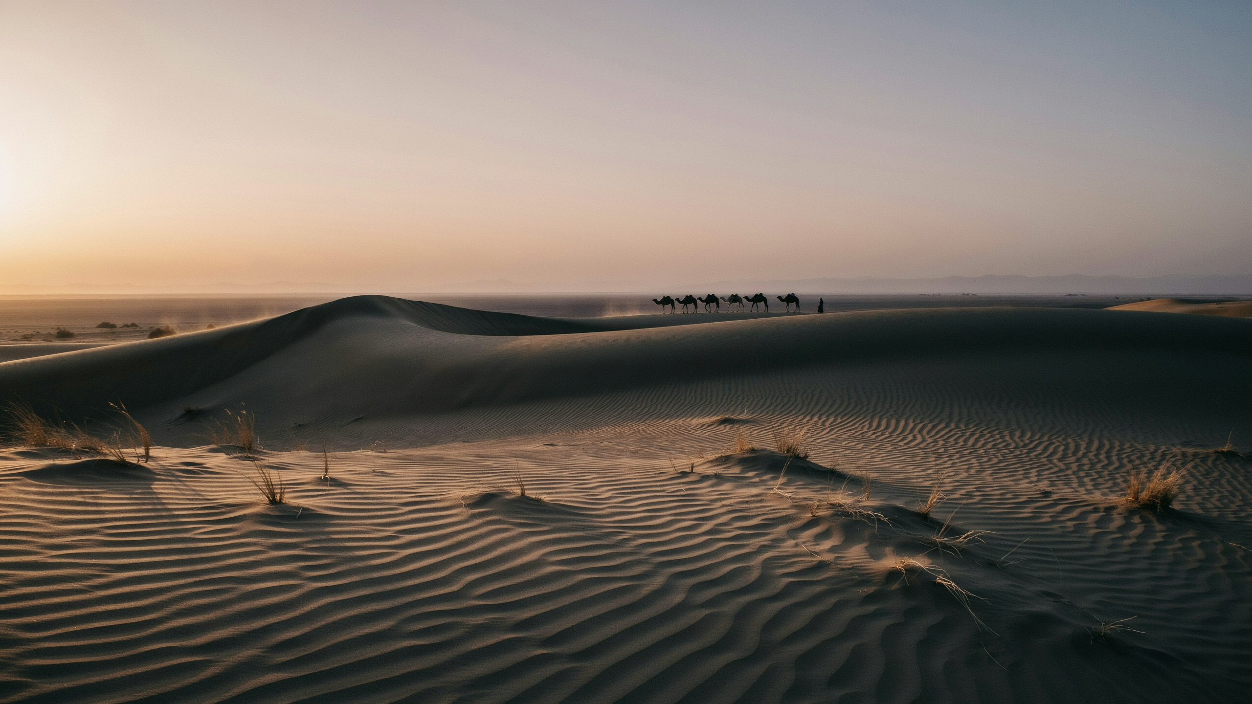 Desert safari dubai vs abu dhabi