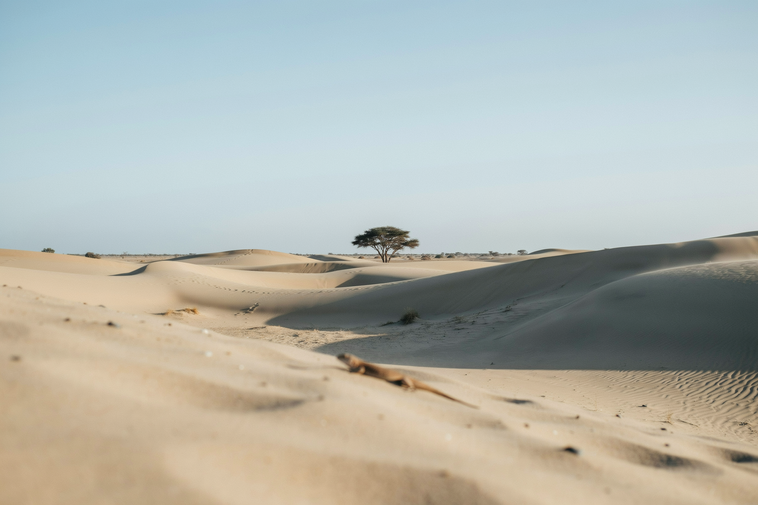 difference between dubai and abu dhabi desert safari