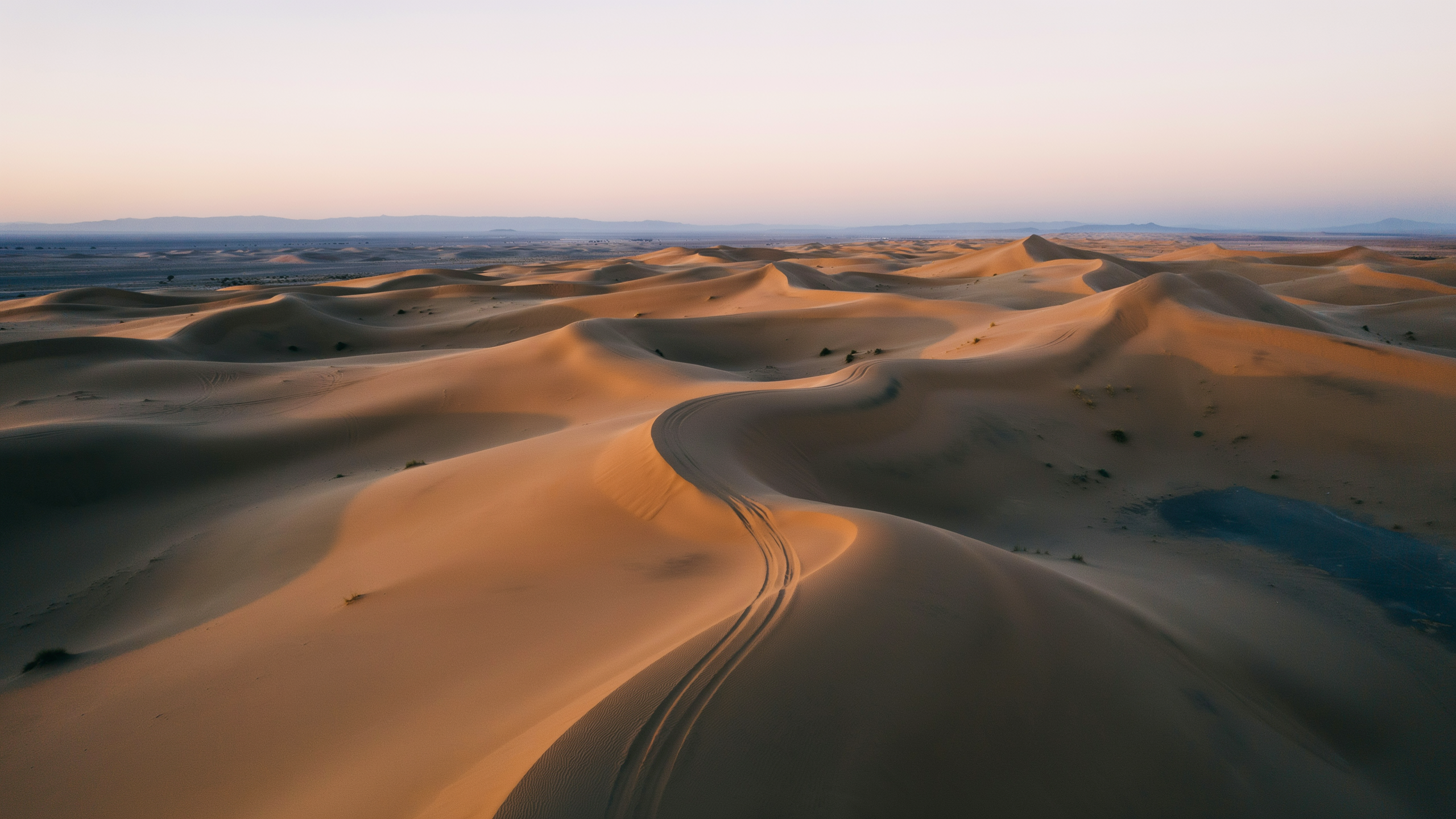 Morning vs evening desert safari