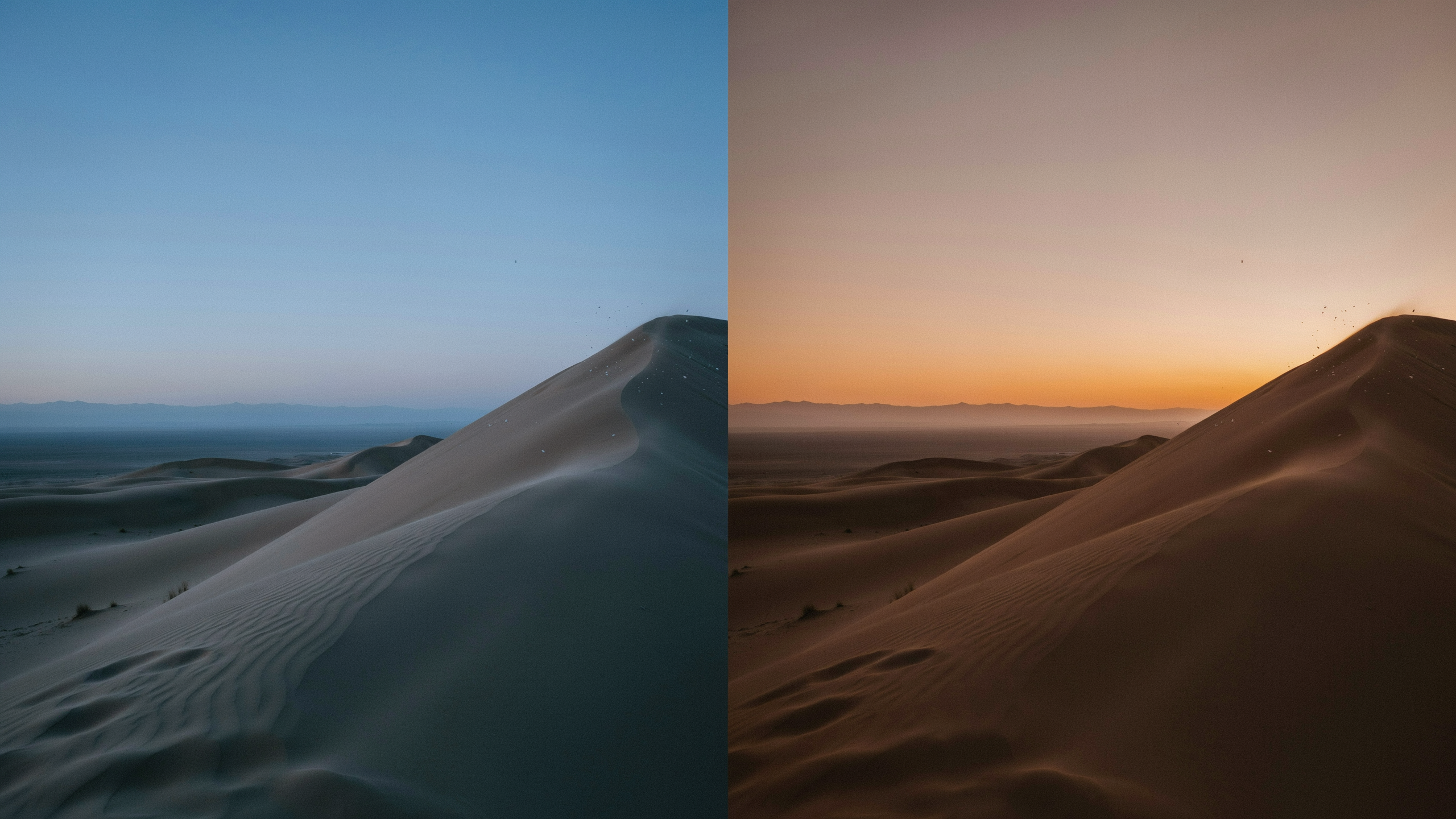 morning desert safari Dubai
