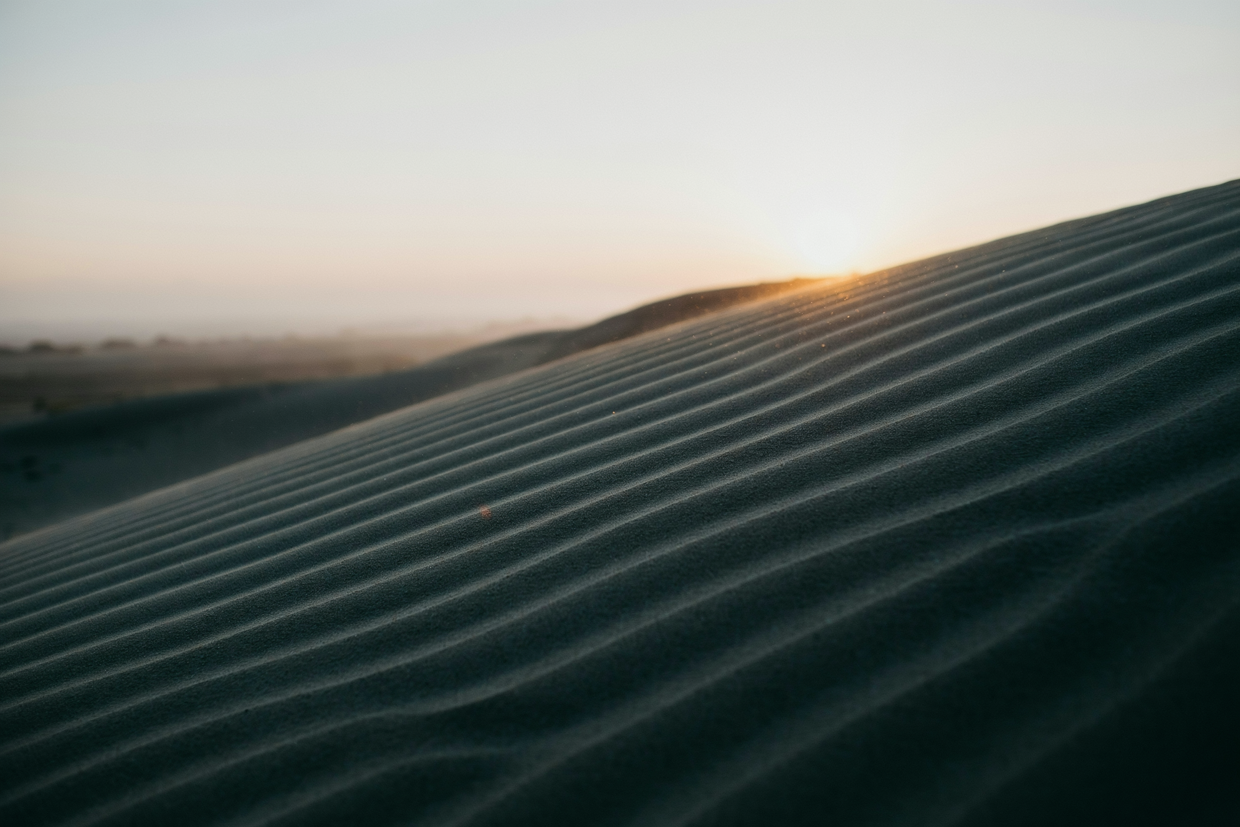 evening desert safari Dubai